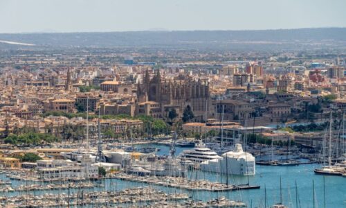 pexels-david-vives-1474251-28990411